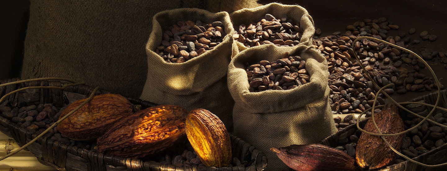 Meilers fezes de cacao pour le chocolat lindt Meilers Fezes de cacao pour le chocolat
